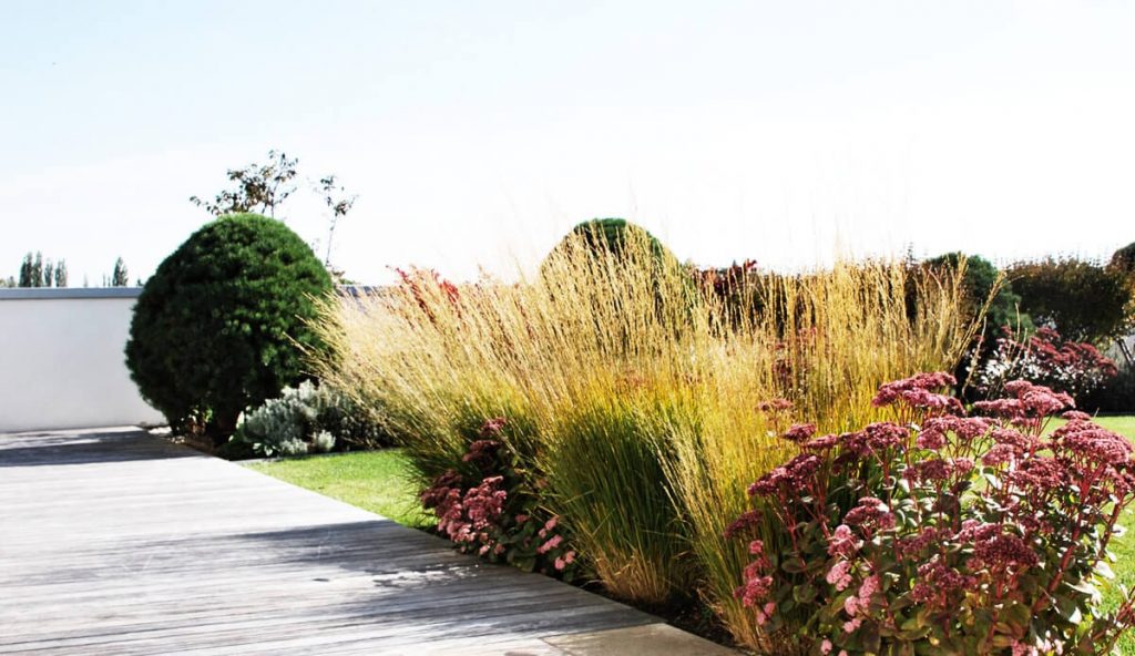 Sedum Green Roof