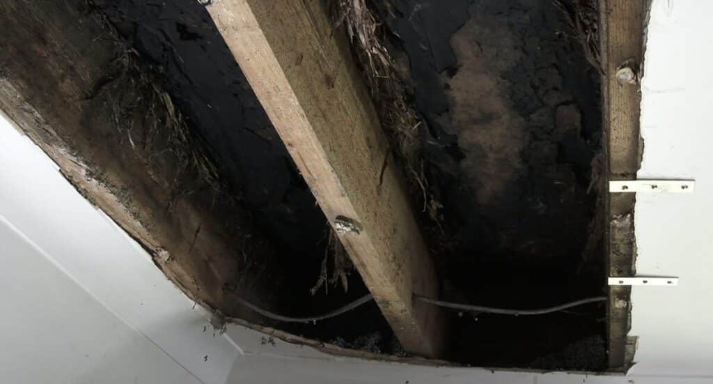 Flat Roof Leaking Through Ceiling